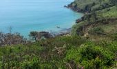 Excursión Bici de montaña Camaret-sur-Mer - 2015-06-03 Pointe de la Chèvre - Photo 5