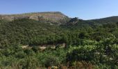 Tour Wandern Castelnou - CASTELNOU 66 -  CAMELAS - ermitage San Marti de La Roca - Photo 18