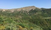 Trail Walking Castelnou - CASTELNOU 66 -  CAMELAS - ermitage San Marti de La Roca - Photo 17