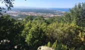 Tour Wandern Argelès-sur-Mer - ARGELES-SUR-MER 66 - ARGELES PLAGE - PORT-ARGELES - LE RACOU - VALMY - Photo 4