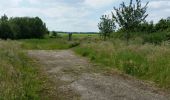 Tocht Fiets Elzele - La hamaide ARBRES REMARQUABLES - Photo 2