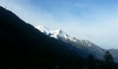 Percorso Marcia Chamonix-Mont-Blanc - Mer de glace - Photo 16