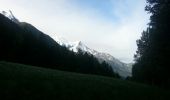 Percorso Marcia Chamonix-Mont-Blanc - Mer de glace - Photo 14