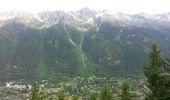 Percorso Marcia Chamonix-Mont-Blanc - Mer de glace - Photo 11