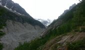 Percorso Marcia Chamonix-Mont-Blanc - Mer de glace - Photo 9