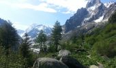 Percorso Marcia Chamonix-Mont-Blanc - Mer de glace - Photo 5