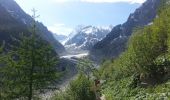 Percorso Marcia Chamonix-Mont-Blanc - Mer de glace - Photo 4