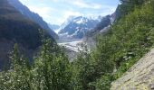 Percorso Marcia Chamonix-Mont-Blanc - Mer de glace - Photo 3