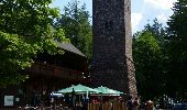 Tour Wandern Zell am Harmersbach - Branbenkopf  - Photo 1