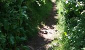 Trail Walking Unknown - 4 étape. de Capel y ffin à Crickhowell  - Photo 2