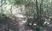Trail Walking Portoferraio - elbe castellaio castello - Photo 13