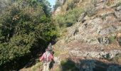 Trail Walking Portoferraio - elbe castellaio castello - Photo 12