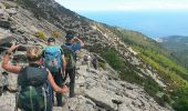 Randonnée Autre activité Marciana - elbe montée mont capane - Photo 5