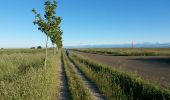 Tocht Andere activiteiten El Burgo Ranero - el borgo ranero puente villarente - Photo 9