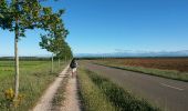 Randonnée Autre activité El Burgo Ranero - el borgo ranero puente villarente - Photo 7