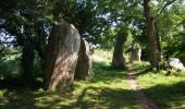 Trail Walking Erdeven - Circuit des Mégalithes - Photo 2