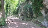 Trail Walking Fontainebleau - Thomery blo seine - Photo 3