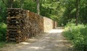 Trail Walking Fontainebleau - Thomery blo seine - Photo 2