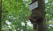 Trail Walking Fontainebleau - Thomery blo seine - Photo 11