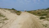 Excursión Senderismo La Teste-de-Buch - cazaux-le wharf - Photo 5