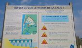 Trail Walking La Teste-de-Buch - cazaux-le wharf - Photo 2