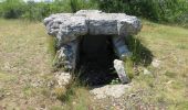 Excursión Senderismo Chasteaux - Saint-Cernin-Chasteaux- les dolmens - Photo 2