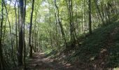 Trail Walking Hastière - Waulsort - Circuit Natura 2000, des sites qui valent le détour - Na08 - Photo 14