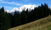 Trail Other activity Combloux - Mont Arbois Megeve - Photo 5