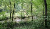 Randonnée Marche Virton - Buzenol - Circuit Natura 2000, des sites qui valent le détour - Lx17 - Photo 3