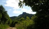 Tour Wandern Boën-sur-Lignon - De Chozieux à Chorigneux - Photo 6