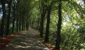 Trail Walking Libramont-Chevigny - Libramont - 1.Promenade des Eglises et chapelles - LB004 - Photo 19