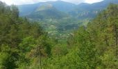 Trail Walking Sospel - Sospel - Le Mont Agaisen - Photo 5