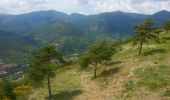 Trail Walking Sospel - Sospel - Le Mont Agaisen - Photo 1