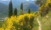 Trail Walking Sospel - Sospel - Le Mont Agaisen - Photo 2