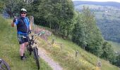 Tour Mountainbike Woll - randonnée découverte à la Bresse.  - Photo 4