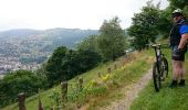 Tour Mountainbike Woll - randonnée découverte à la Bresse.  - Photo 2