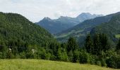 Excursión Senderismo La Clusaz - La CLUSAZ  (Beauregard) - Photo 3