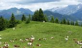 Excursión Senderismo La Clusaz - La CLUSAZ  (Beauregard) - Photo 2