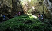 Trail Walking Gémenos - de l'Espigoulier à Bertagne par les dents de roque forcade - Photo 1