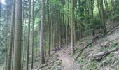 Trail Walking Obernai - Obernai-150622 - VVF-ChateauOttrott - Photo 1