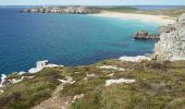 Tocht Stappen Camaret-sur-Mer - Circuit de la pointe de Pen Hir - Photo 8