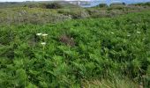 Tocht Stappen Camaret-sur-Mer - Circuit de la pointe de Pen Hir - Photo 2