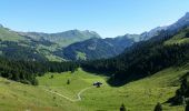 Randonnée Marche La Clusaz - La CLUSAZ (Col de Borneronde)) - Photo 3