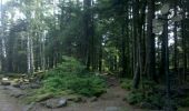 Trail Walking Ottrott - Obernai-150625 - SteOdile-MurPaien - Photo 6