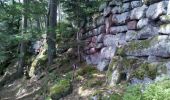 Trail Walking Ottrott - Obernai-150625 - SteOdile-MurPaien - Photo 12