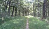 Tour Wandern Poigny-la-Forêt - Sortie du 25/06/2015 - Photo 2