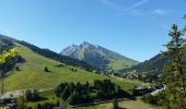 Trail Walking La Clusaz - La CLUSAZ  (Tête du Danay ) - Photo 5