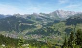 Trail Walking La Clusaz - La CLUSAZ  (Tête du Danay ) - Photo 2