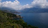 Tocht Stappen Osani - Plage de Caspiu Plage de Gradelle A et R - Photo 2