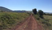 Tocht Stappen Le Bouchet-Saint-Nicolas - 3ème étape Stevenson - Photo 10